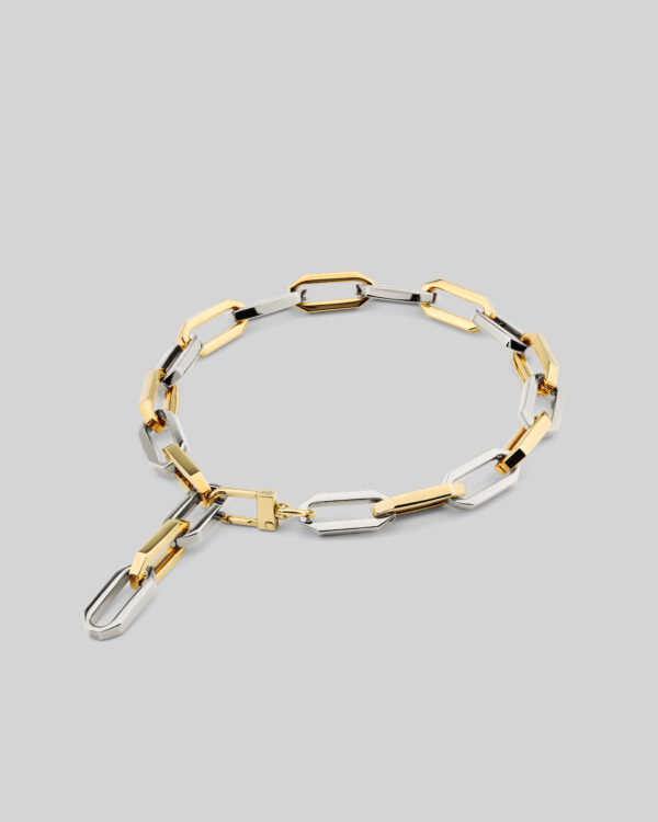 bicolor necklace